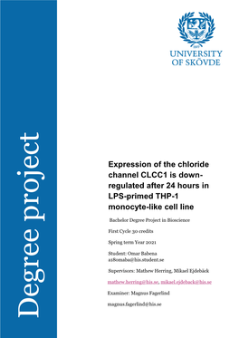 Expression of the Chloride Channel CLCC1 Is Down- Regulated After 24 Hours in LPS-Primed THP-1 Monocyte-Like Cell Line