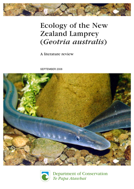 Ecology of the New Zealand Lamprey (Geotria Australis)