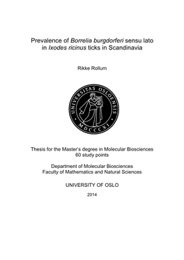 Prevalence of Borrelia Burgdorferi Sensu Lato in Ixodes Ricinus Ticks in Scandinavia