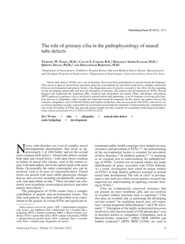 The Role of Primary Cilia in the Pathophysiology of Neural Tube Defects