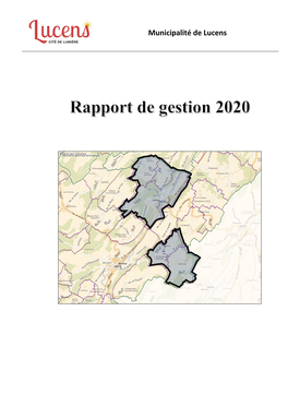 Rapport De Gestion 2020