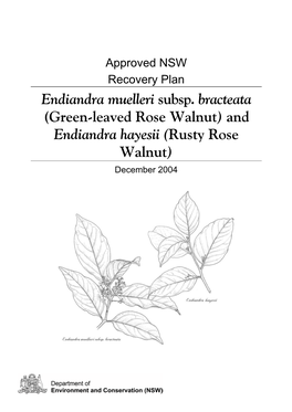 And Endiandra Hayesii (Rusty Rose Walnut) December 2004 © Department of Environment and Conservation (NSW), 2004