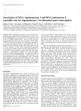 Association of DNA Topoisomerase I and RNA Polymerase I: a Possible Role for Topoisomerase I in Ribosomal Gene Transcription