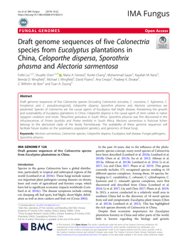 Draft Genome Sequences of Five Calonectria Species From