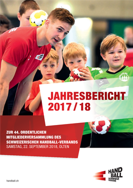 Jahresbericht 2017 / 18