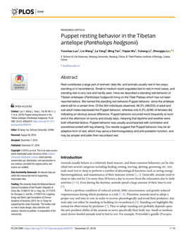 Puppet Resting Behavior in the Tibetan Antelope (Pantholops Hodgsonii)