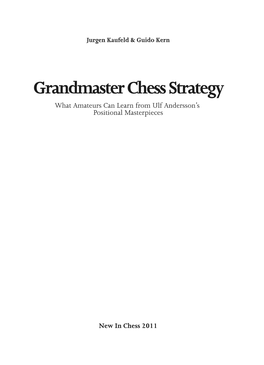 Andersson Strategy 20110202