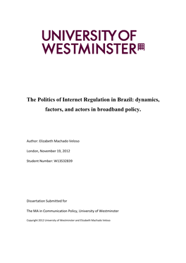 The Politics of Internet Regulation in Brazil: Dynamics, Factors, and Actors