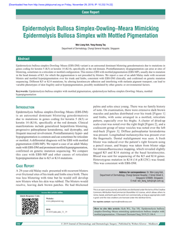 Epidermolysis Bullosa Simplex‑Dowling–Meara Mimicking Epidermolysis Bullosa Simplex with Mottled Pigmentation