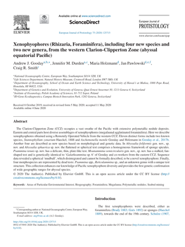 Xenophyophores (Rhizaria, Foraminifera), Including Four New Species And