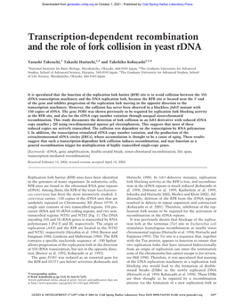 Transcription-Dependent Recombination and the Role of Fork Collision in Yeast Rdna