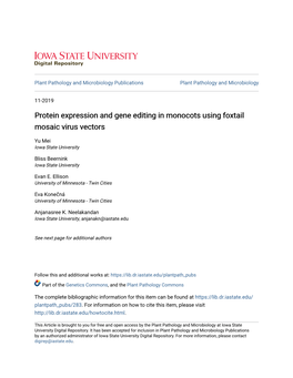 Protein Expression and Gene Editing in Monocots Using Foxtail Mosaic Virus Vectors