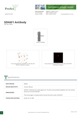 SDHAF1 Antibody Cat