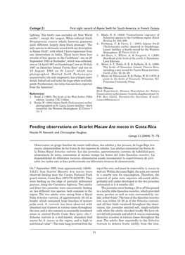 Feeding Observations on Scarlet Macaw Ara Macao in Costa Rica Nicole M