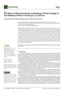 The Effect of Brassinosteroids on Rootting of Stem Cuttings in Two Barberry (Berberis Thunbergii L.) Cultivars