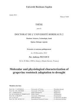 Molecular and Physiological Characterization of Grapevine Rootstock Adaptation to Drought