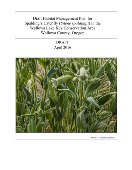 Draft Habitat Management Plan for Spalding's Catchfly (Silene Spaldingii)