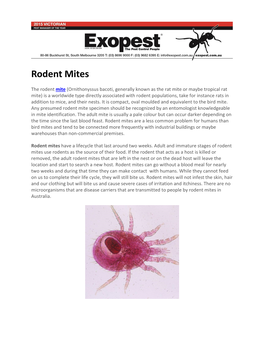 Rodent Mites