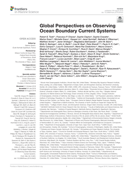 Global Perspectives on Observing Ocean Boundary Current Systems