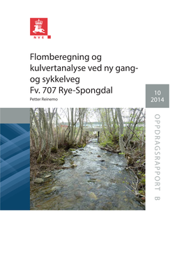 Flomberegning Og Kulvertanalyse Ved Ny Gang- Og Sykkelveg Fv. 707 Rye-Spongdal (122.3Z)