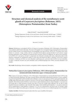 Structure and Chemical Analysis of the Metathoracic