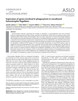 Expression of Genes Involved in Phagocytosis in Uncultured Heterotrophic ﬂagellates