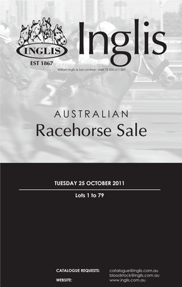Racehorse Sale
