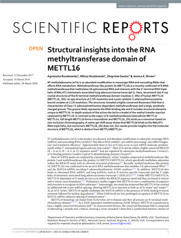 Structural Insights Into the RNA Methyltransferase Domain Of