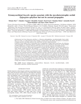 Ectomycorrhizal Inocybe Species Associate with the Mycoheterotrophic Orchid Epipogium Aphyllum but Not Its Asexual Propagules