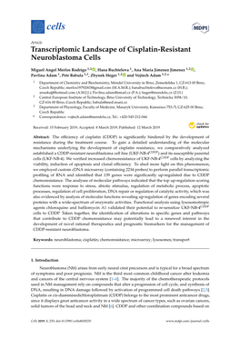 Transcriptomic Landscape of Cisplatin-Resistant Neuroblastoma Cells