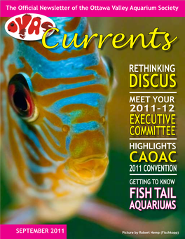 Discus Meet Your 2011-12 Executive Committee Highlights Caoac 2011 Convention Getting to Know Fish Tail Aquariums