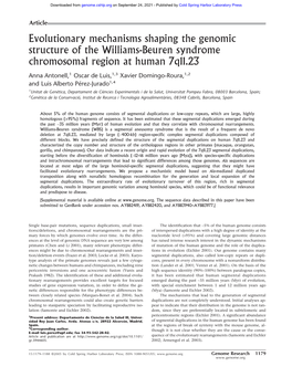 Evolutionary Mechanisms Shaping the Genomic Structure of the Williams-Beuren Syndrome Chromosomal Region at Human 7Q11.23