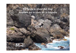 El Teide a Nivel Del Mar Itinerario Por La Costa De La Guancha
