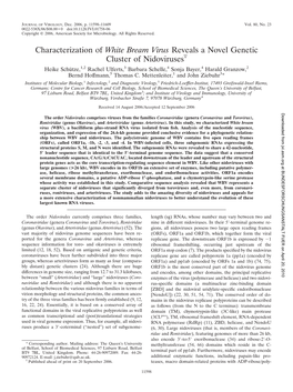 Characterization of White Bream Virus Reveals a Novel Genetic Cluster of Nidoviruses