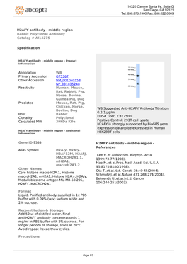 H2AFY Antibody - Middle Region Rabbit Polyclonal Antibody Catalog # AI14275