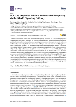 BCL2L15 Depletion Inhibits Endometrial Receptivity Via the STAT1 Signaling Pathway