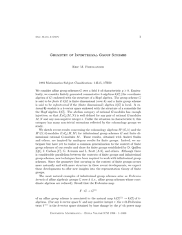 Geometry of Infinitesimal Group Schemes