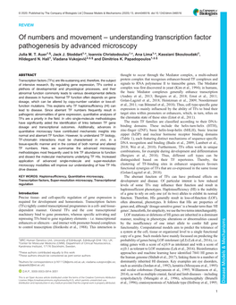 Of Numbers and Movement – Understanding Transcription Factor Pathogenesis by Advanced Microscopy Julia M