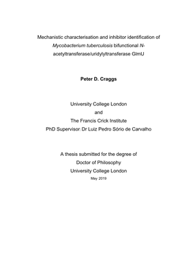 Acetyltransferase/Uridylyltransferase Glmu