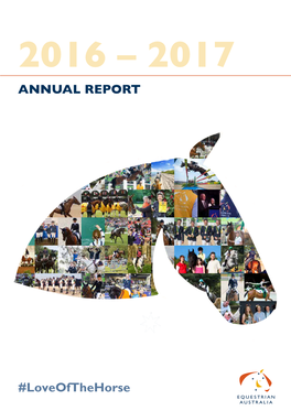 Loveofthehorse Annual Report
