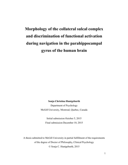 Morphology of the Collateral Sulcal Complex and Discrimination of Functional Activation During Navigation in the Parahippocampal Gyrus of the Human Brain