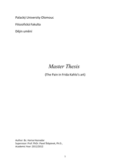 Master Thesis