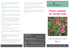 05. Plants Suitable for Sandy Soils