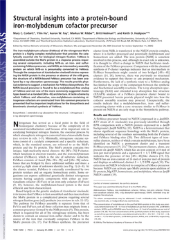 Structural Insights Into a Protein-Bound Iron-Molybdenum Cofactor Precursor