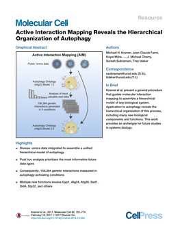 Active Interaction Mapping Reveals the Hierarchical Organization of Autophagy