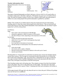 Teacher Information Sheet Spotted Salamander Ambystoma