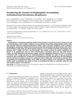 Deciphering the Genome of Polyphosphate Accumulating Actinobacterium Microlunatus Phosphovorus