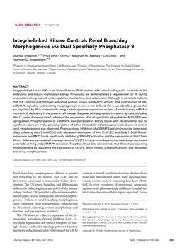 Integrin-Linked Kinase Controls Renal Branching Morphogenesis Via Dual Speciﬁcity Phosphatase 8
