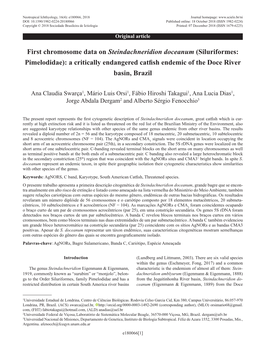 First Chromosome Data on Steindachneridion Doceanum (Siluriformes: Pimelodidae): a Critically Endangered Catfish Endemic of the Doce River Basin, Brazil