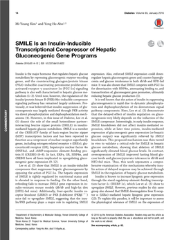 SMILE Is an Insulin-Inducible Transcriptional Corepressor of Hepatic Gluconeogenic Gene Programs